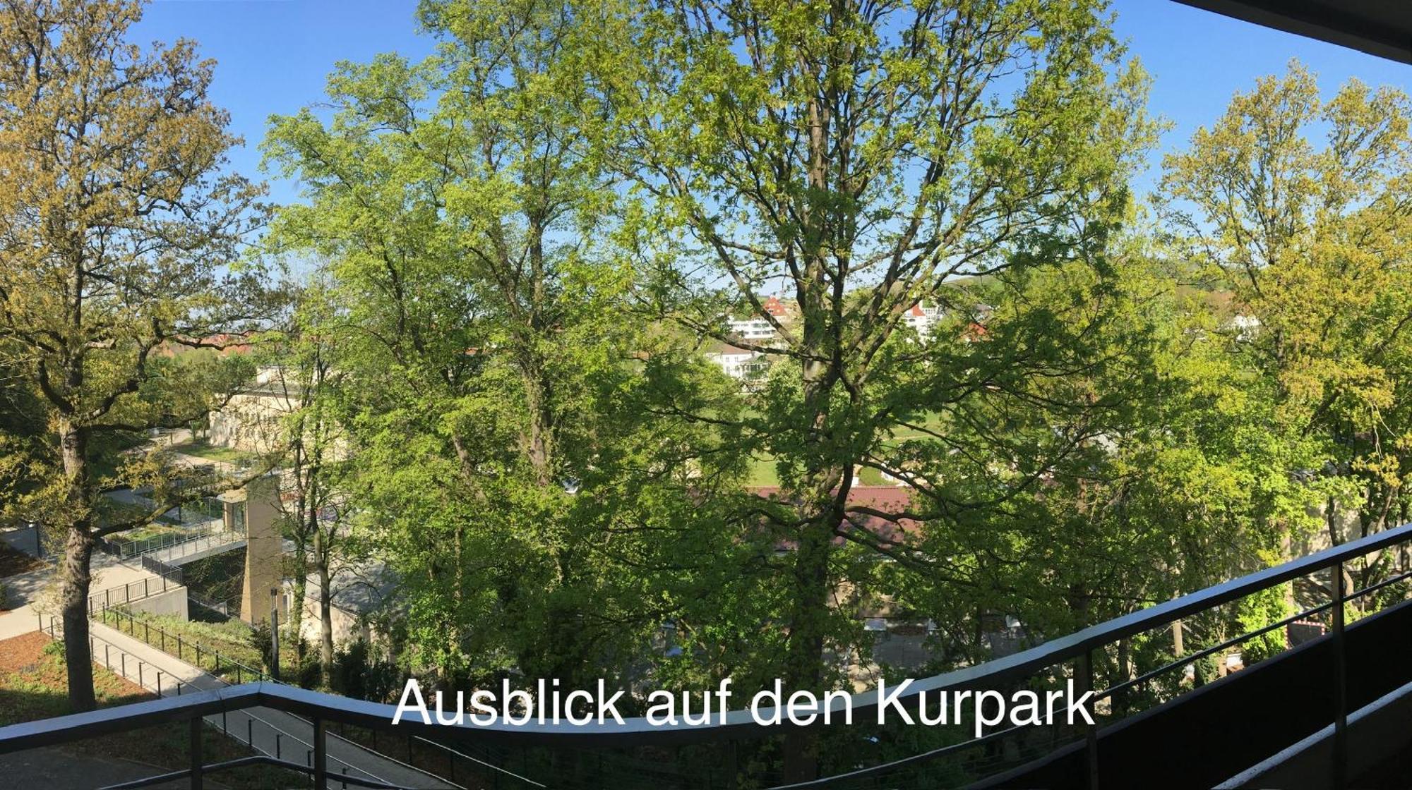 Appartementresidenz Am Kurpark - Ferienwohnungen Mit Pool & Sauna & Garage バート・ザルツフレン 部屋 写真